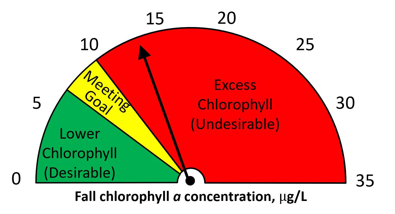 Fall 2024 chlorophyll a = 13 ug/L